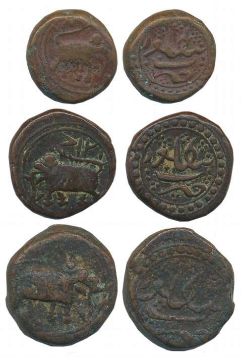 Tipu Sultan, Copper (3), Paisa,10.91g, Bengalur Mint, Elephant Facing to right, AM 1217 (K