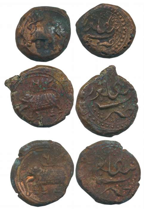 Tipu Sultan, Copper 1/2 Paisa (3), 5.45g, 5.51g, 5.68g, Bengaluru Mint, Elephant Facing to