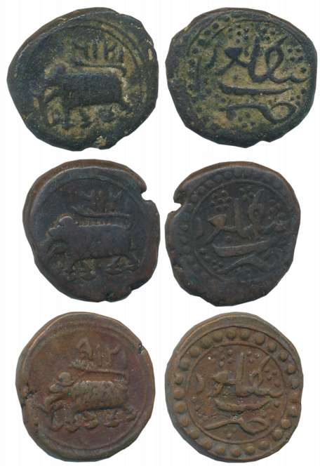 Tipu Sultan, Copper 1/2 Paisa (3) 5.43g, 5.46g, 5.56g, Bengaluru Mint, Elephant Facing to 