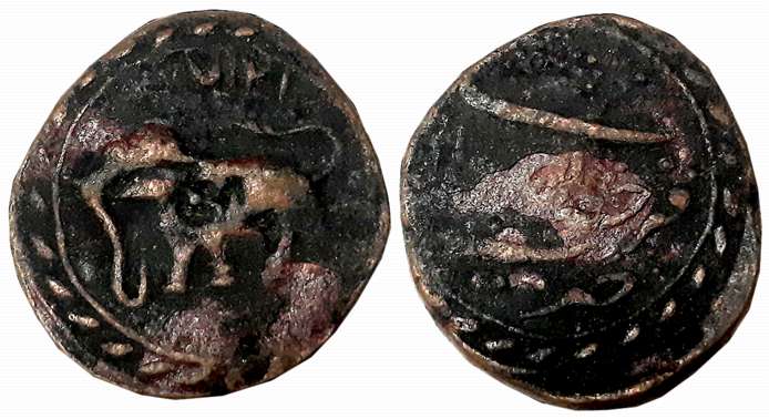 Tipu Sultan, Copper Paisa, 11.04g, Farrukhyab Hisar Mint, AM 1217 (Retro), Elephant to rig