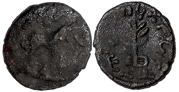 Post Mauryan, Ancient Haryana, Ttribal Republic, Agras of Agrodaka (Agroha) region, Copper