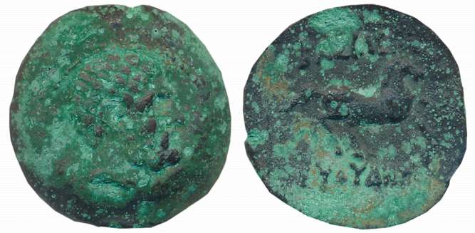 Baktrian Greeks, Euthydemos I, Bronze, 7.79g, Obv: Bearded head of Herakles to right, Rev: