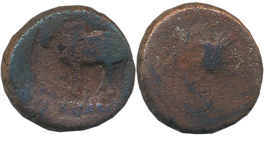 Ayodhya, Ayumitra, Copper, 7.03g, Obv: Bull facing to left spear ahead, Brahmi legend belo