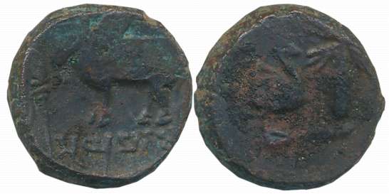 Ayodhya, Ayumitra, Copper, 7.99g, Obv: Bull facing to left spear ahead, Brahmi legend “Ayu