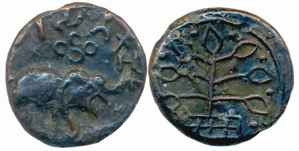 Satavahanas, Nashik region, Kochhiputra, Copper, 7.40g, Obv: Elephant with upraised trunk 
