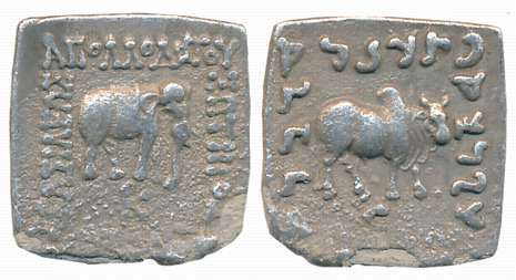 Indo Greeks, Apollodotos I, Silver Square Drachma, 2.31g, Obv: Elephant to right Greek leg