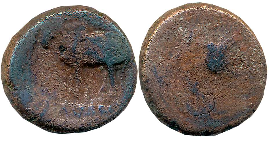 Ayodhya, Ayumitra, Copper, 7.03g, Obv: Bull facing to left spear ahead, Brahmi legend belo