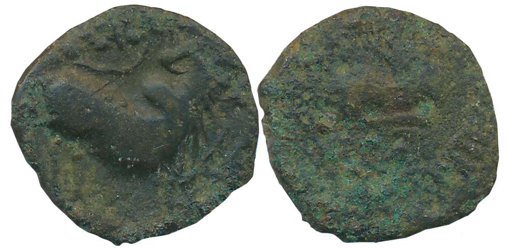 Pallavas of Kanchi, Copper Alloy, 3.55g, Obv: Bull standing facing right, symbols above, R