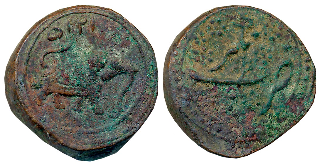 Tipu Sultan, Copper Paisa, 11.46g, Nagar Mint, AM 1215 (retro), Elephant Facing to right (