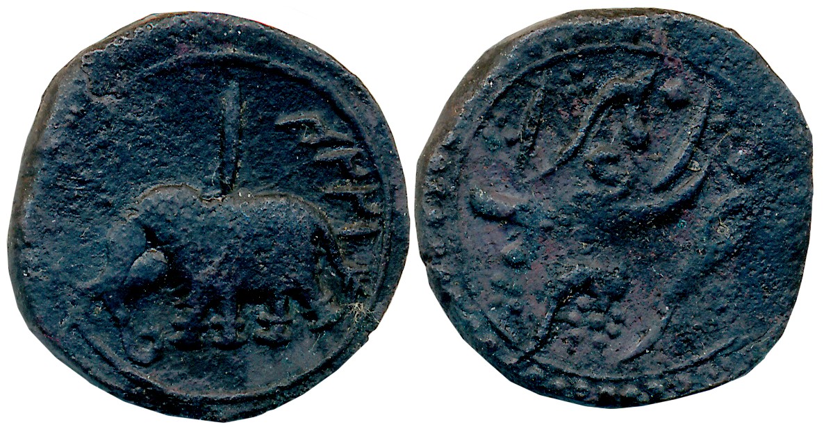 Tipu Sultan, Copper Paisa,10.43g, Nagar Mint, AM 1224, Elephant Facing to left, Persian “A