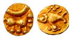 Hoysalas, Gold, Fanam, stylized tiger on obv, a beautiful fish on rev. Probably Unpublishe