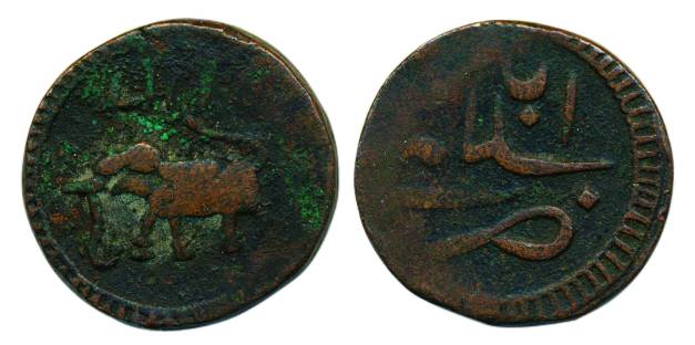 Tipu Sultan, Copper, Paisa, Salamabad mint, an elephant walking to left type, AM 1217 abov