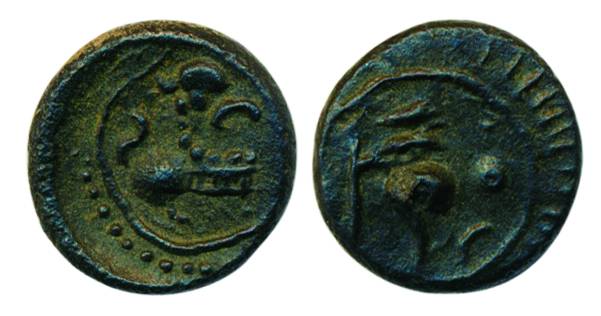 Vishnukundin, Copper, 1.26 g, beautiful conch shell on obv, a roaring lion to right on rev