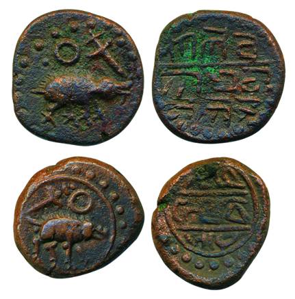 Vijayanagar, Copper (2),Tirumalraya &nbsp;boar walking to right on obv, Kanarese legend on