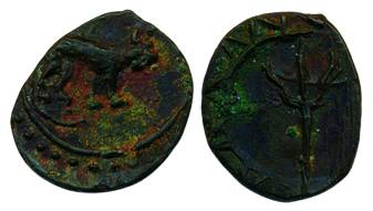 Chola-Pallavas ?, Copper, 1.41 g, a tiger walking to right, a Trishul (Trident) in the cen