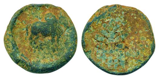 Satavahana Feudatory, 1st century BC, Lead, 6.36 g, a humped bull standing to right on obv