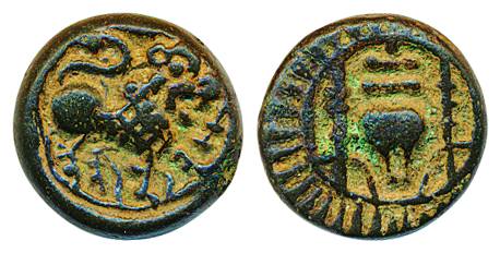 Vishnukundin, Copper, lion type, 8.10g, Obv: lion standing to right, Rev: stylized conch s