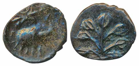 Satavahanas, Satakarni I, Potin, 4.2g, Obv: an elephant walking to right with Brahmi legen