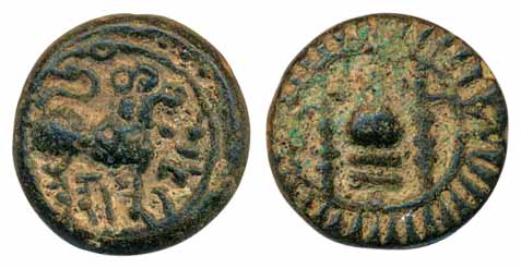 Vishnukundin, Copper alloyUnit, 7.63g, Obv: lion to right with upraised paw, Rev: conch sh