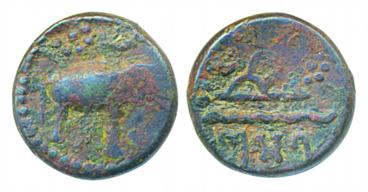 Western Kshatrapas, Damasena, Potin Unit, 2.21g, Obv: Elephant standing right, sun and moo