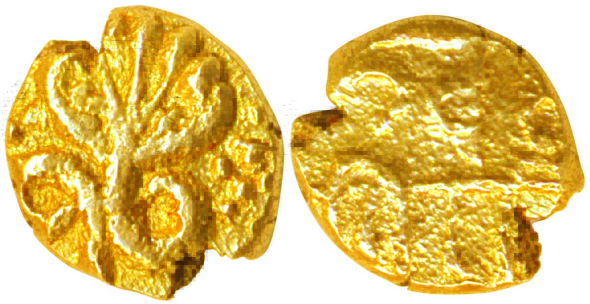 Venkatagiri,Gold Fanam, 0.37g,Obv: five headed Cobra, Rev: Mint name Qille Venkatagiri in 