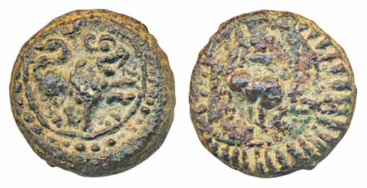 Vishnukudin, Copper, 9.07g, Obv: Lion standing to right, Rev: Conch flanked with lamp-post