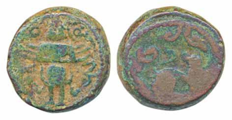 Vijaynagar, Sadasiva Raya, Copper, 8.80g, Obv: Garuda facing with hands joined, Rev: Devna