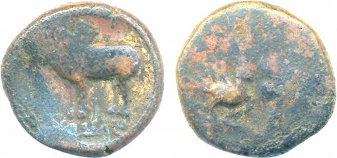 Ayodhya Region, Satyamitra, Copper, 7.89g, Obv: Spear and humped bull to left below Brahmi