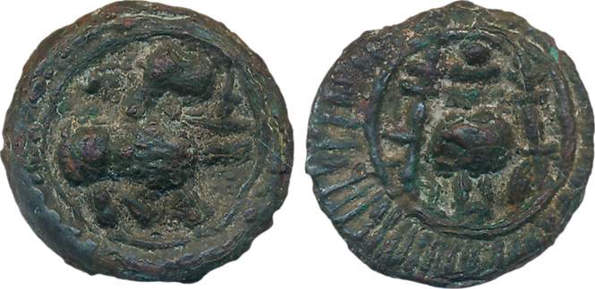 Vishnukudin, Copper, 7.29g, Obv: Lion standing to right, Rev: Conch flanked with lamp-post