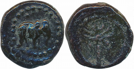Nayak’s Madurai, Copper, 3.03g, Obv: Elephant to right in dotted circle, Rev: Coconut Tree