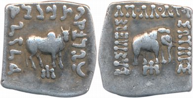 Indo Greek, Apollodotos I, Square Silver Drachma, 2.35g, Obv: Elephant to right Greek lege