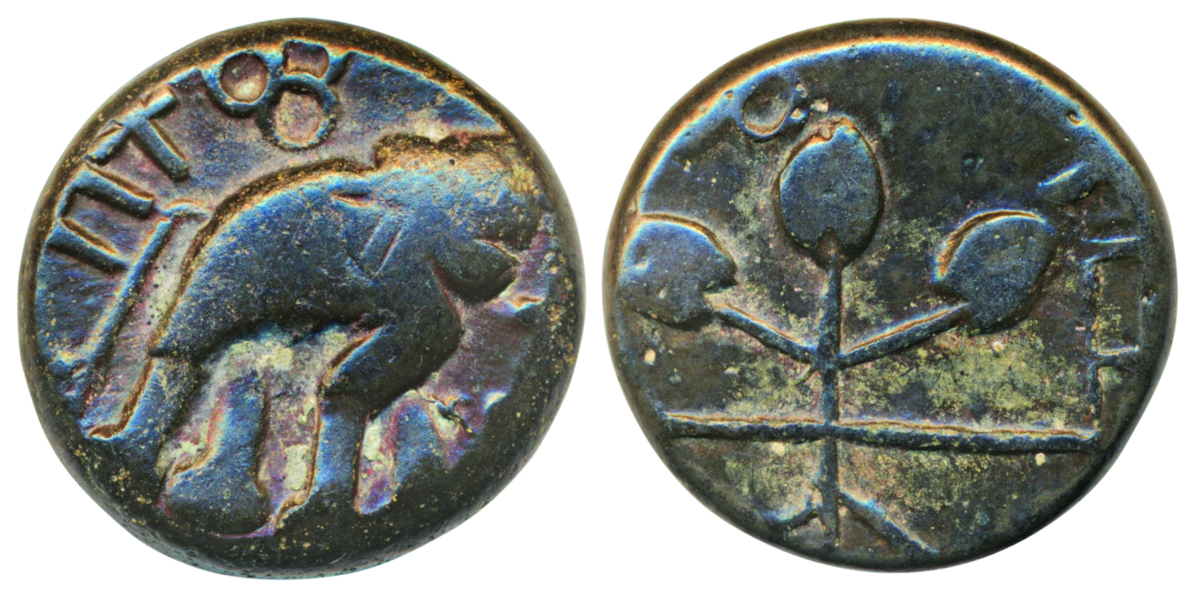 Satavahanas, Kausikiputra Satakarni, Copper, 5.73g, Obv: Elephant with upraised trunk to r