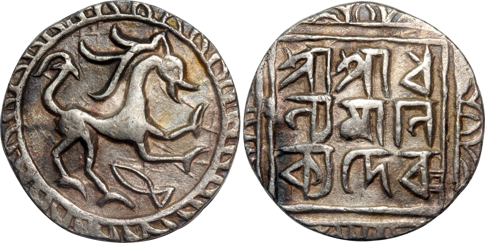 Dhanya Manikya, Silver Tanka, 10.69g, Obv: Lion to right, fish symbol below, no dot behind