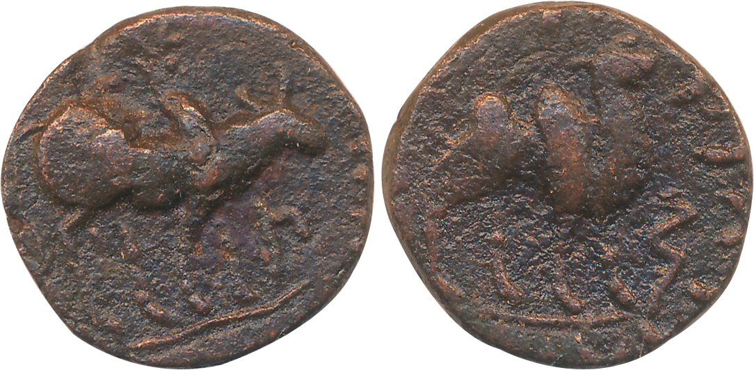Kushan, Vima Taktu, Copper, 9.16g, Obv: Humped Bull to right, Nandipada above, Kharosthi l