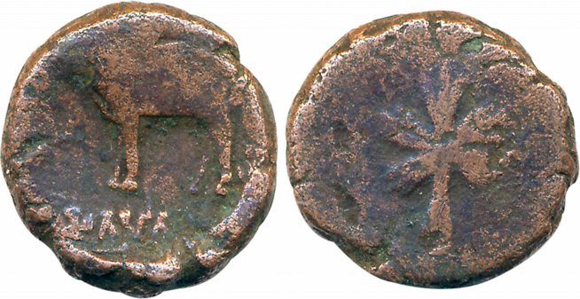 Ayodhya, Ayumitra, Copper, 7.92 g, Obv: Bull facing to left spear ahead, Brahmi legend "Ay
