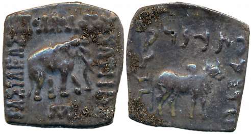 Indo Greeks, Apollodotos I, Silver Drachma, 2.09g, Obv: Elephant standing to right, Greek 