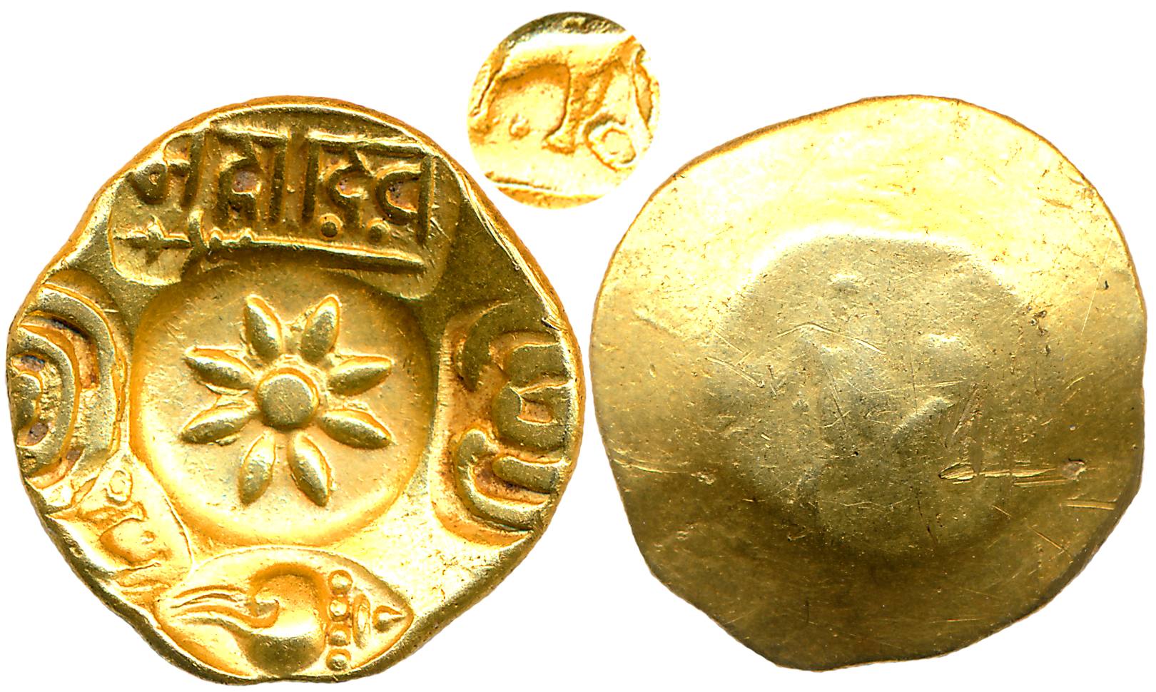 Yadavas of Devagiri, Mahadeva, Gold Padma Tanka, 3.80g, Uniface, Punch Marked, "Elelphant 