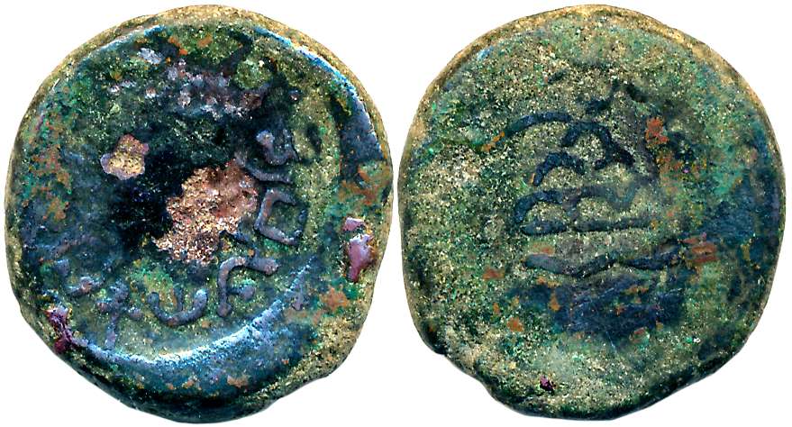 Tribal Coinage, The Sibi Janpada, Copper, 5.60g, Obv: Traces of symbols in the centre, Bra