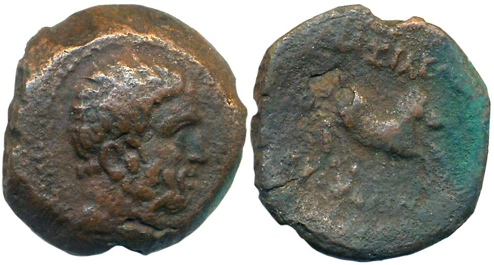 Indo Greeks, Euthydemos I, Bronze, 7.23g, Obv: Bearded bust of Herakles, Rev: Horse Gallop