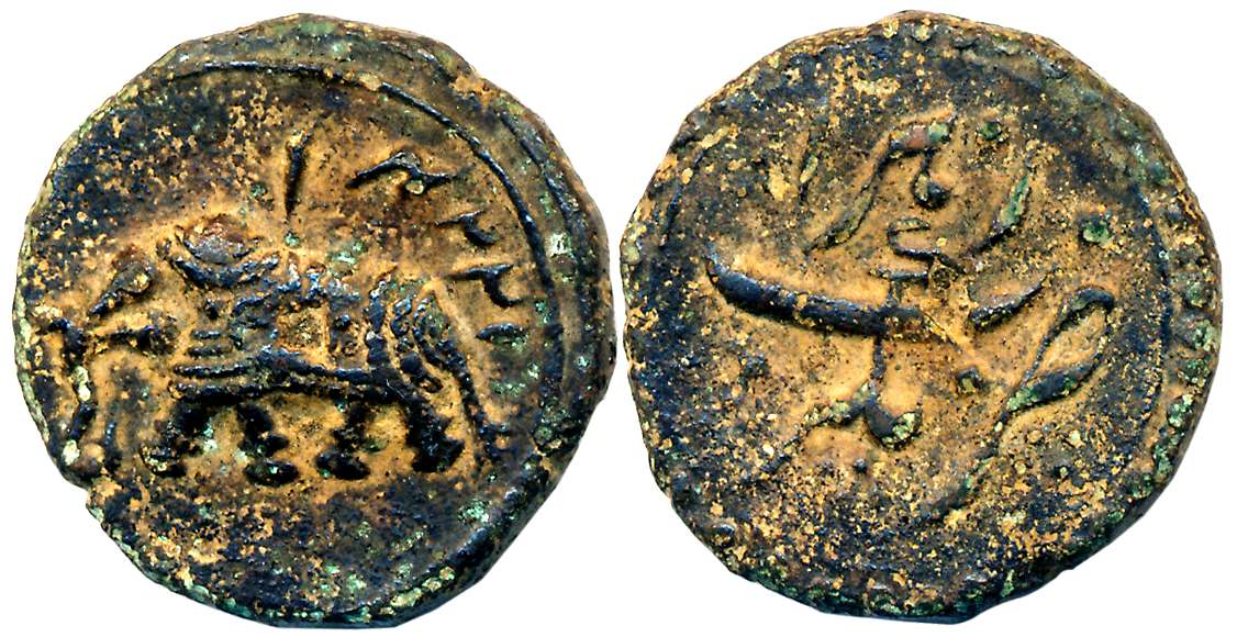 Tipu Sultan, Copper Paisa, 11.43g, Nagar Mint, AM 1224 (retro), Elephant to left, Persian 
