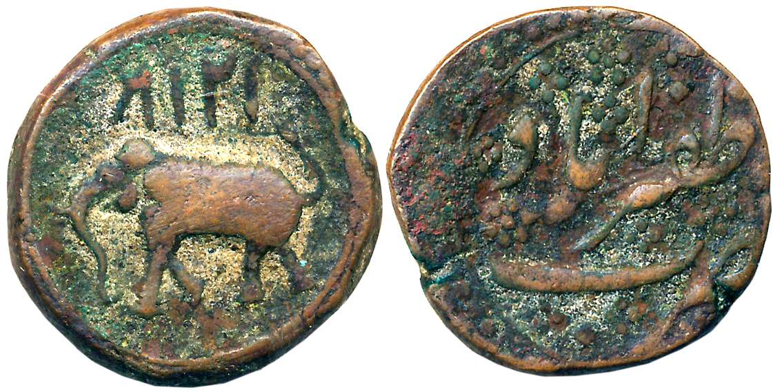 Tipu Sultan, Copper Paisa, 11.56g, Zafarabad Mint, AM 1218 (retro), Elephant to right (KM#