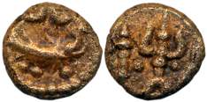 Feudatories of Cholas, Sambuvaraya, Copper, 1.10g, Obv: Fish facing right within a dotted 