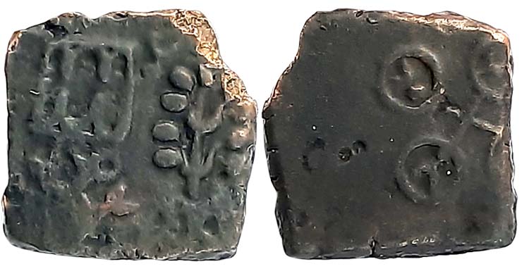 Post Mauryan, Uninscribed die struck coin, Ujjain region, Copper, 3.54g, Obv: Tree on hill