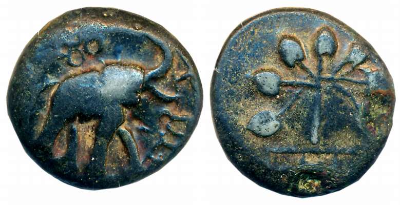 Satvahanas, Goutamiputra Satakarni, Copper, 10.38g, Obv: Elephant walking to right with up